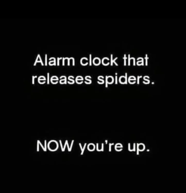 111 732 spiders.webp