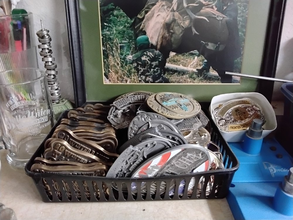 20260324 buckles in tray.jpg