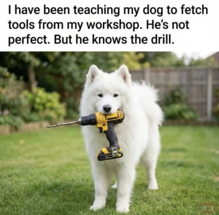 IMG_3848.thumb.jpeg.9c15248b94aa68ad983adfbd496ffa0b.jpeg