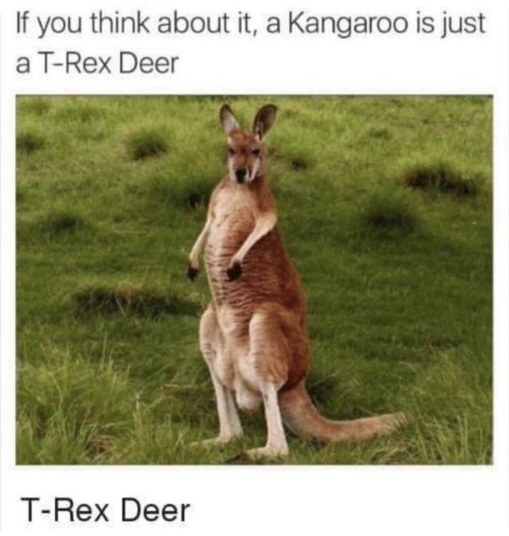 image.thumb.jpeg.805ba0943773b0f888cbe943b5d4cdda.jpeg