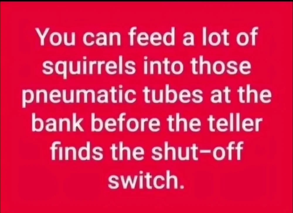 111732squirrelsatthebank.thumb.webp.1f340df75d5520c6c6556630d1549daa.webp