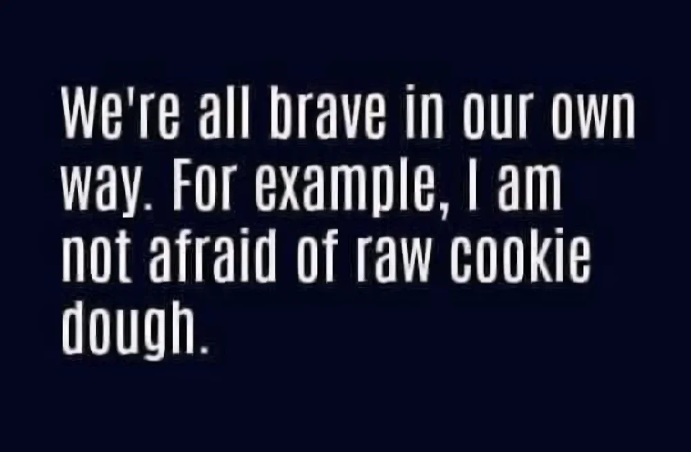 111 737 bravery.webp