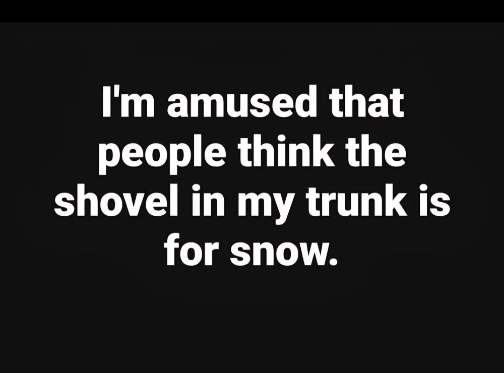 111 738 snow shovel.webp