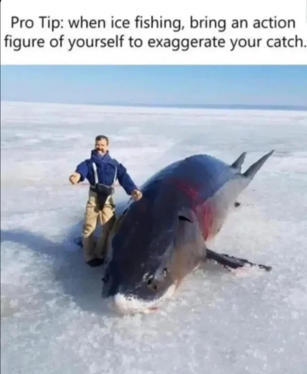 111 742 ice fishing.webp