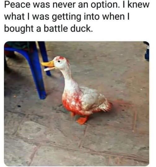 image.jpeg.754e66527d9f36f53ce5ba7795230533.jpeg