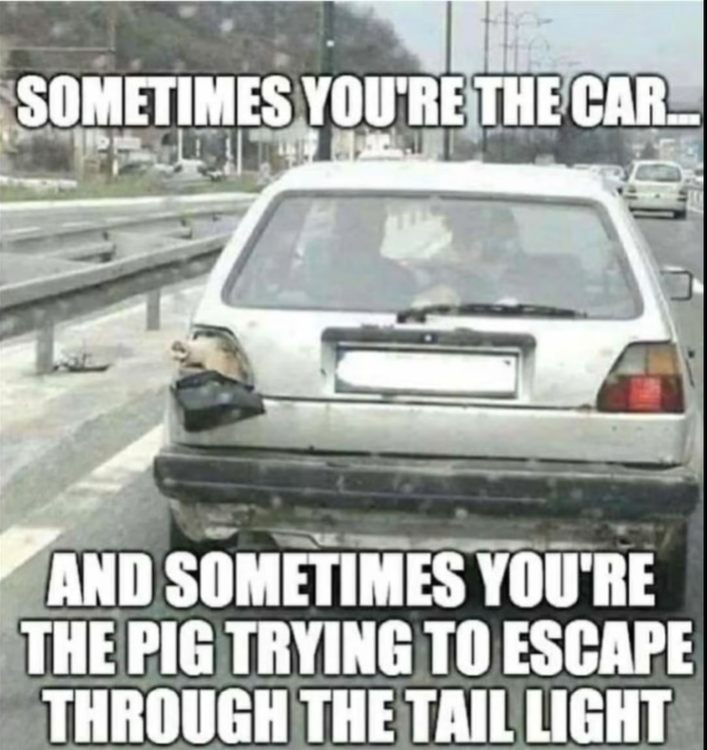 image.thumb.png.3b8d83dd1a128484b3b71264b4bfb36c.png