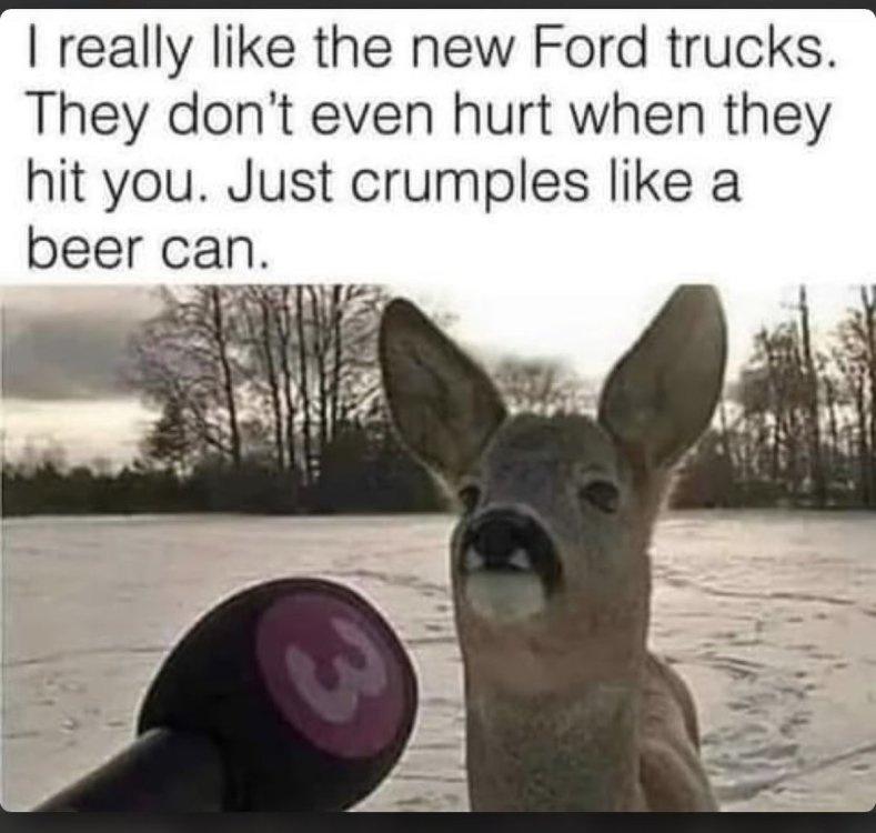 11 751 Ford trucks.jpg