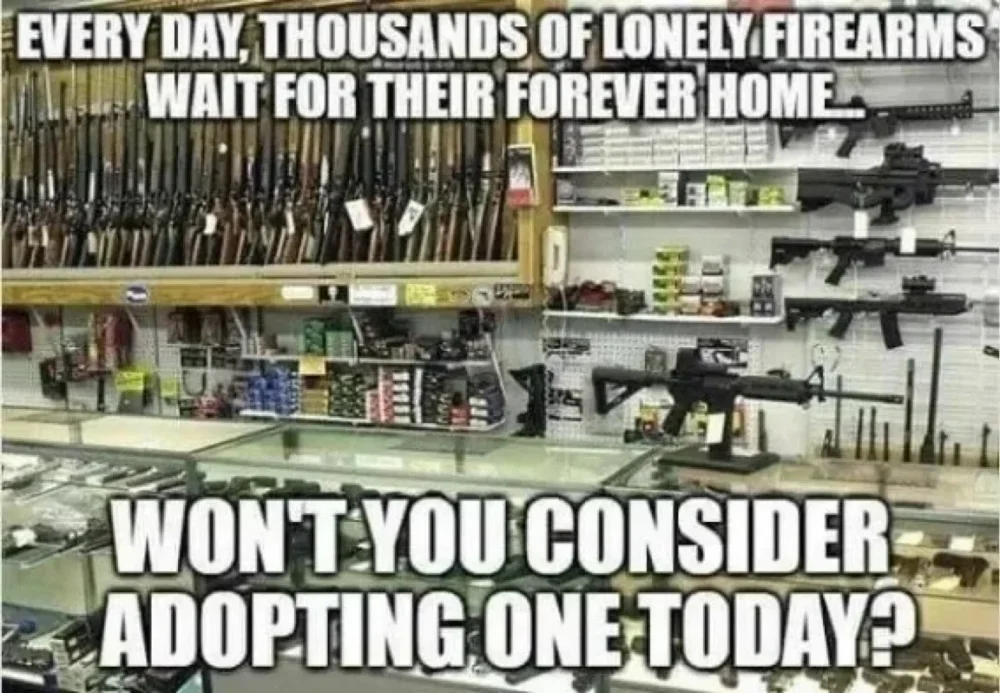 1 684 adopt a gun.webp