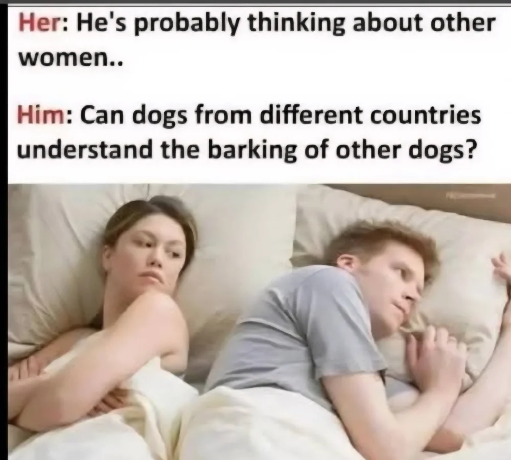 1 684 foreign dog bark.webp