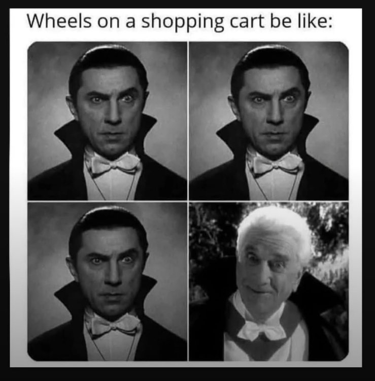 IMG_5652.thumb.jpeg.96baa321e9653d05f7fd4c86c8397ecf.jpeg
