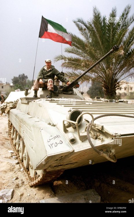 a-captured-iraqi-bmp-2-infantry-fighting-vehicle-is-displayed-by-us-HFBDPW.thumb.jpg.32f6eeb283389d0d140afaf18e355b63.jpg