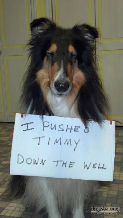 image.jpeg