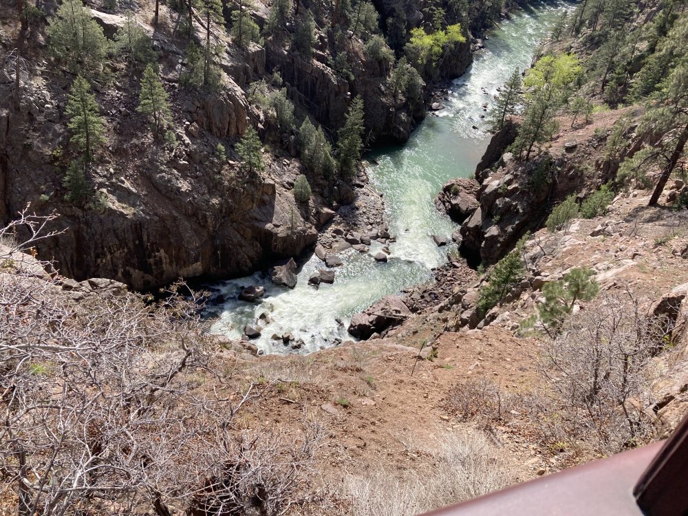 image.thumb.jpeg.d2ae5b7494d1c839c1a34c217497c19e.jpeg