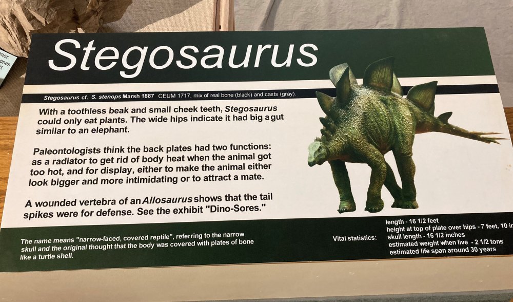 image.thumb.jpeg.d7133469a7809a3f804f0876495868af.jpeg