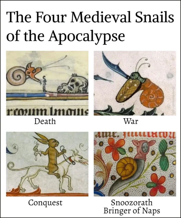 0 0 767 medieval snails.webp