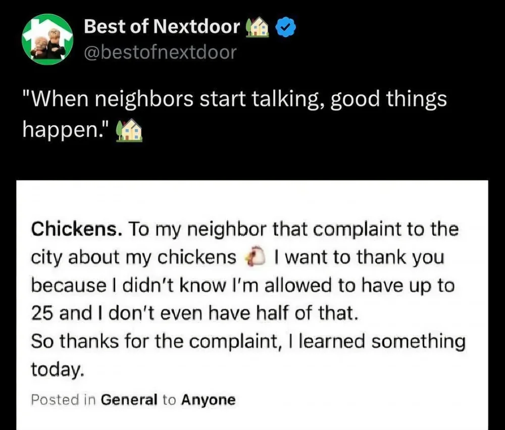 0 764 chickens.webp
