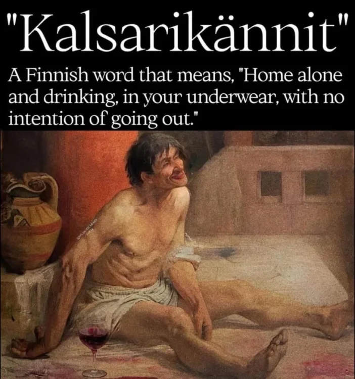 1 0 759 finnish drunk.webp