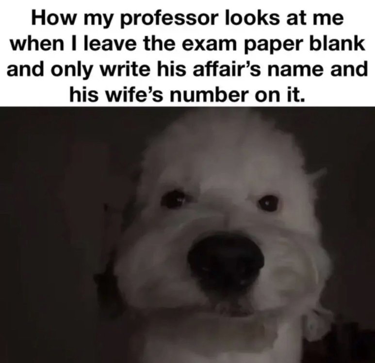 IMG_6839.thumb.jpeg.bd87479d312c978672094f6dfbf66cef.jpeg