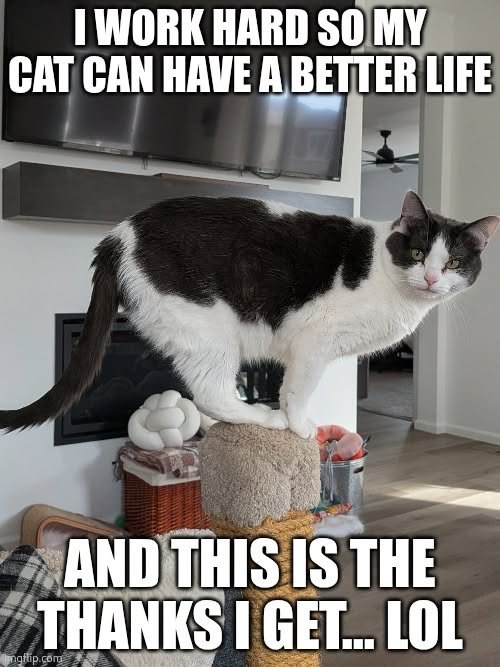 image.jpeg.5c038de4a3b71fe9c24aac559e43932b.jpeg