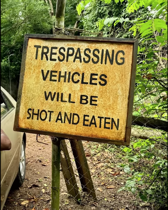 image.png.550ca4b8bd438538f82d7f3270792515.png