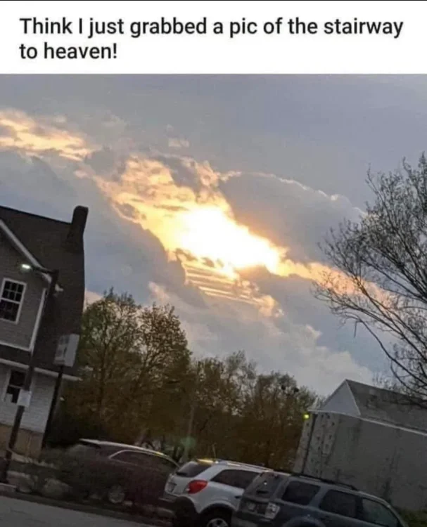 0 768 stairway to heaven.webp