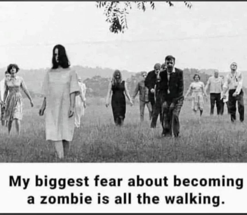 0 768 zombies.webp