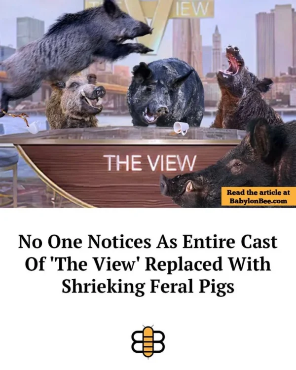 1 768 The view.webp