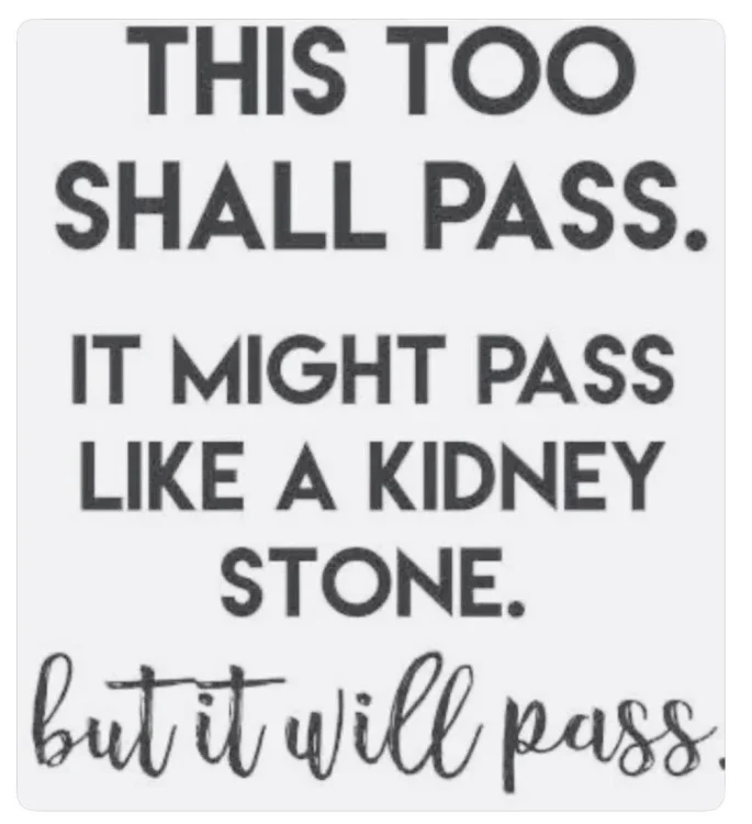 1 768 pass like a kidney stone.webp