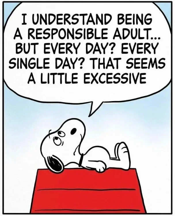 1 768 responsible adult.webp