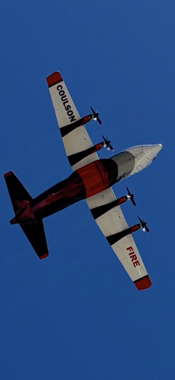 IMG_1243.png