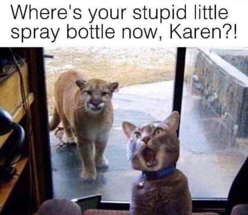 IMG_4009.thumb.jpeg.1dee1724be0d8e087c2002e1b6485198.jpeg