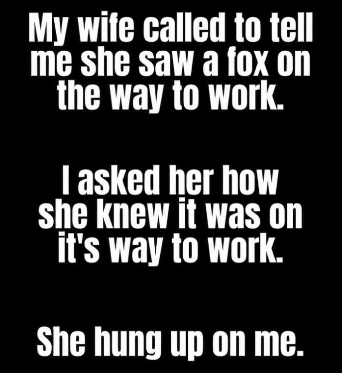 IMG_9504.thumb.png.e9fd978eefde4c42dc8d36d03fa807e8.png