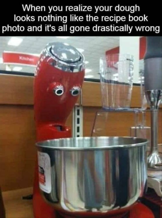 IMG_9537.thumb.jpeg.2215e19f810b5ec8dff08490cfaf55ee.jpeg