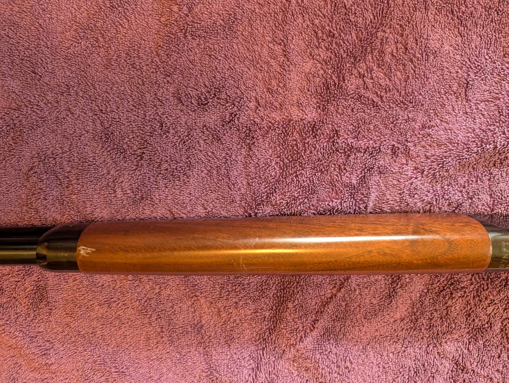 PXL_20260703_203541569.jpg