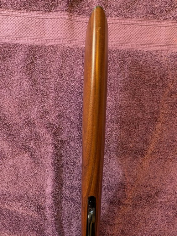 PXL_20260703_203558171.jpg