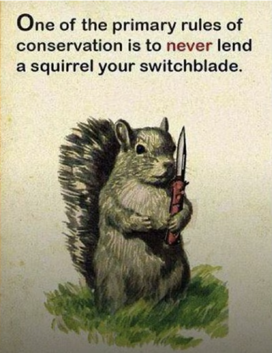 image.png.d82d9e4d0c5884cdce0a031806c6bd34.png