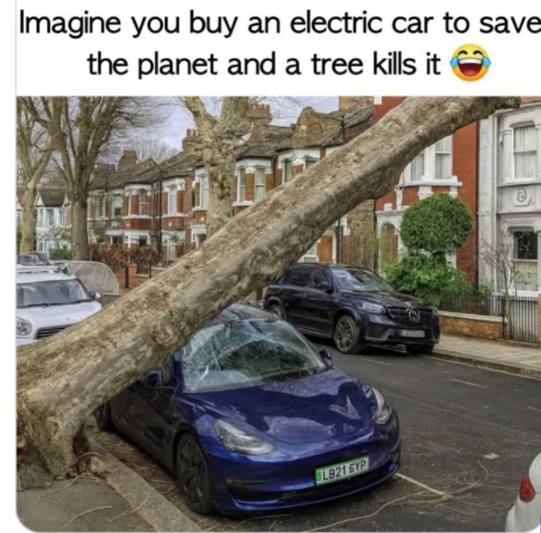 image.thumb.png.1317f0bcf82ab0bffb46edafec78896d.png