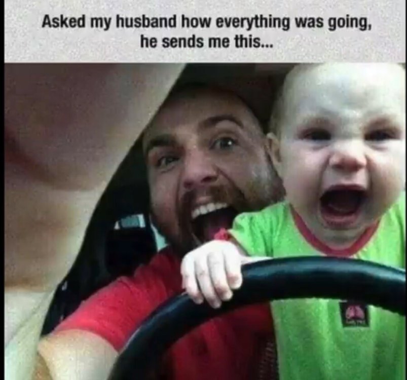 0 741 baby driving.jpg