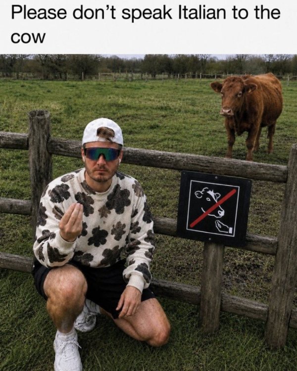 0 763 speak to cows.jpeg