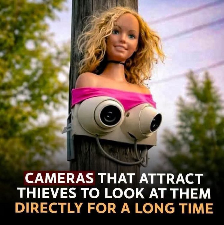 FB_IMG_1787005461174.thumb.jpg.3d7c0c11a9ced96792b19d30ea29f78b.jpg