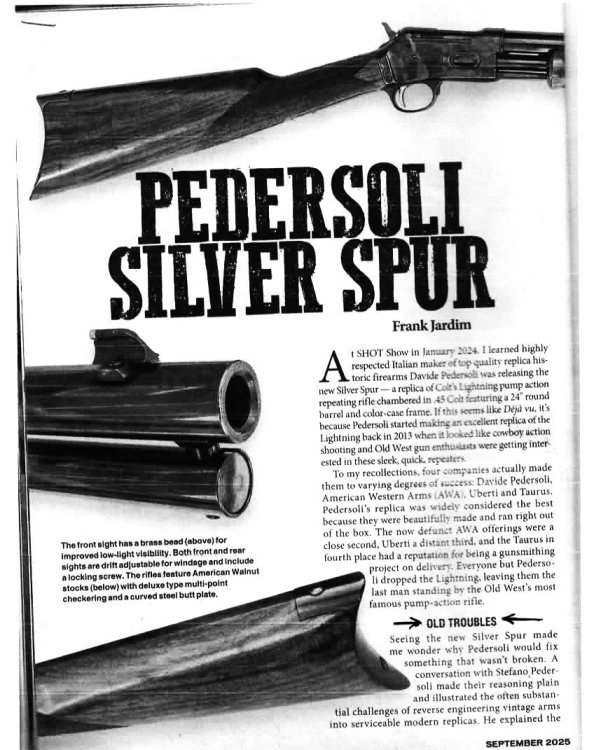 Guns Silver Spur 1.jpg