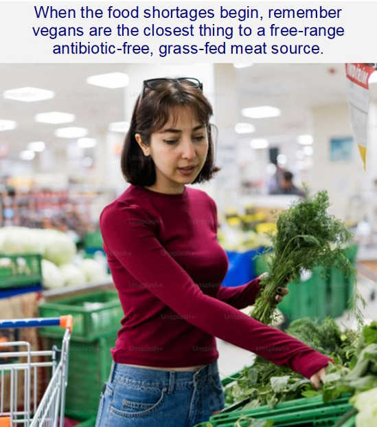 IMG_2001.png.397fe32d8f6f876b8bad88376d0f68a5.png