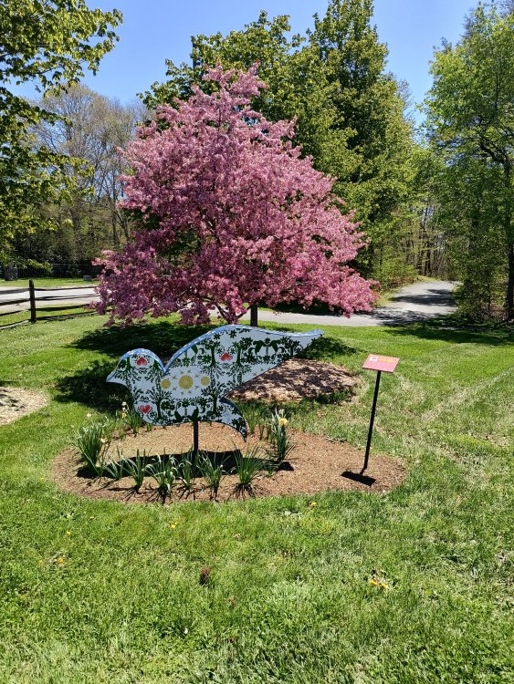 IMG_20260512_130032447_HDR.jpg