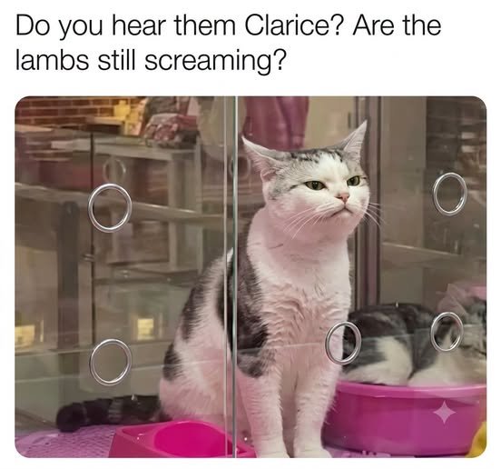 image.jpeg.5609bc90039e8a54118ff0682ddf8eec.jpeg