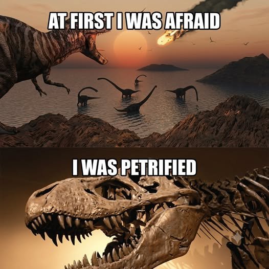 image.jpeg.c48fce2219bae8974bddb1b94fd11172.jpeg