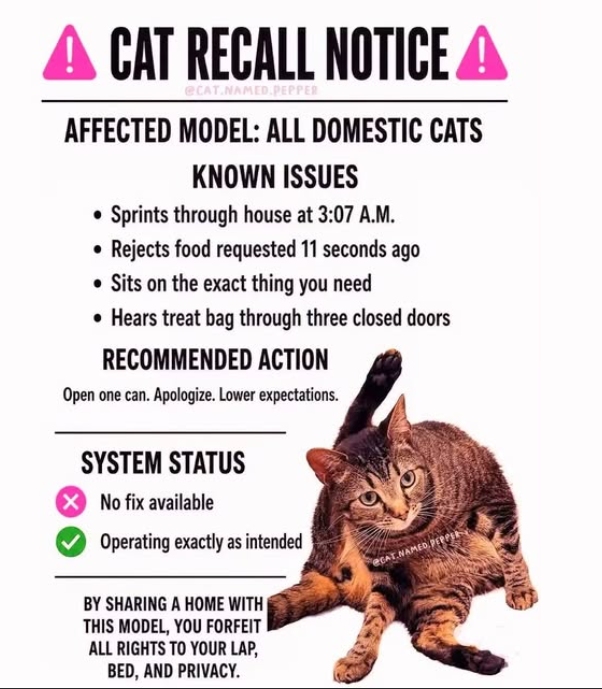 image.png.c110301e36a04eff6a0e9e895f5d356d.png