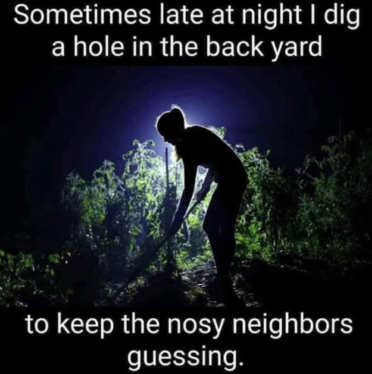 image.thumb.png.a1bbe609fa0c961dfa7e5312c4c01d8f.png