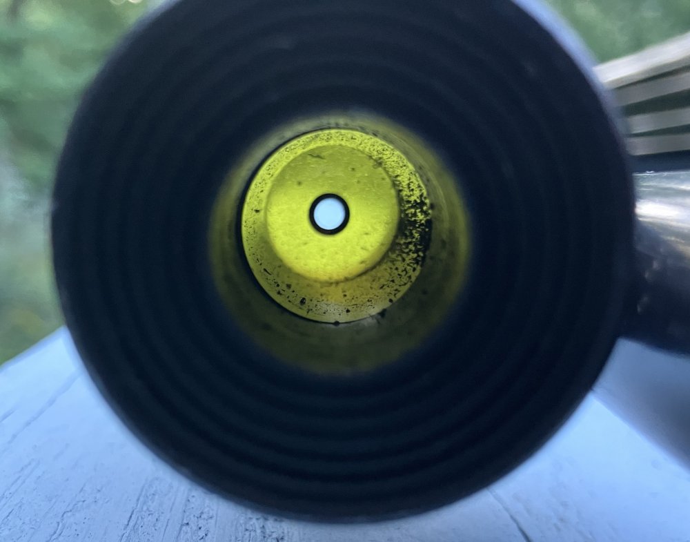 M12FrontSight3.thumb.jpg.b5b21888d92d84064a4bd820c5792e2d.jpg