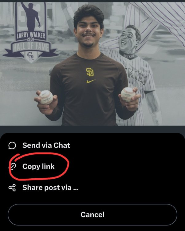 Screenshot_20260917_092822_Chrome.thumb.jpg.a7f14619549ff879f5cf8e112f90aae3.jpg