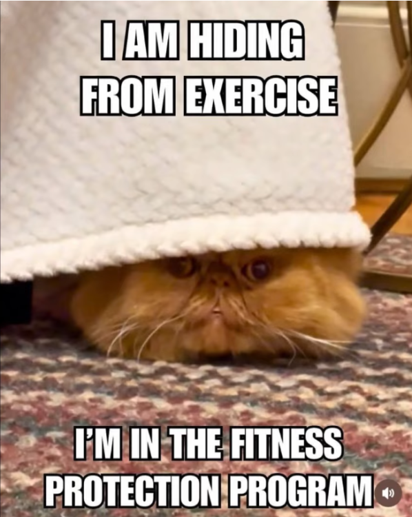image.thumb.png.b95fdfff9097ac66342a5de05a4786a3.png